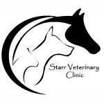 Charles L. Starr III